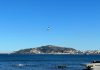 a bird flying over a body of water