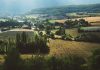 aerial view of trees and farm